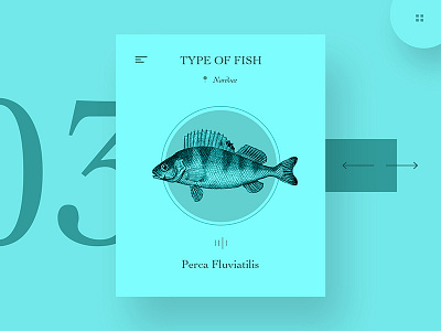 Type Of Fish