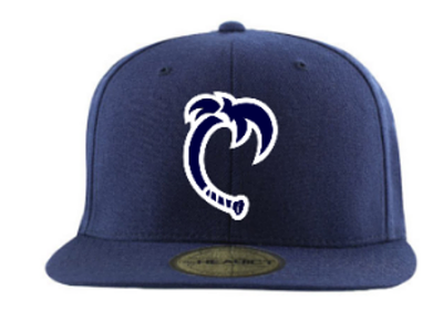 Baseball Central alt lid baseball hat lid logo sport design