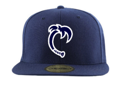 Baseball Central alt lid