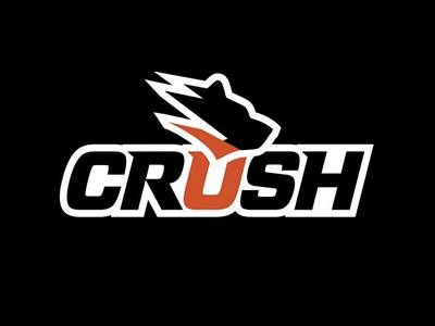 CRUSH baseball sports design logo bear team