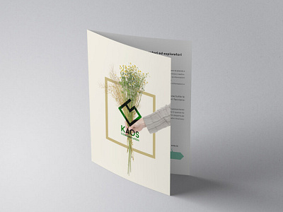 Web Agency - brochure brand identity branding brochure graphic design log logo