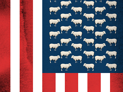 Herd Behavior america behavior flag herd of sheep states united
