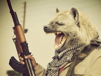 Hyenas in Syria Project hyena syria war weapon wild