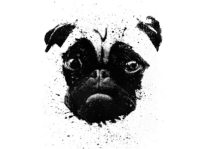 Pug brush dog ink inking lettering pug splatter