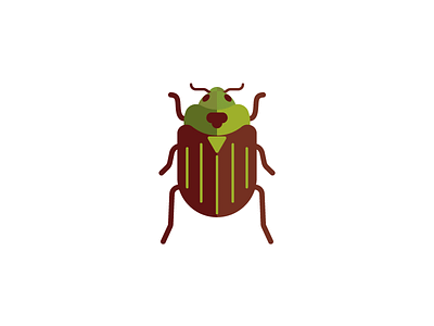 Bug beetle bug flat illustration insect insects minimal