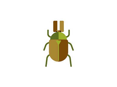 Bug beetle bug flat illustration insect insects minimal