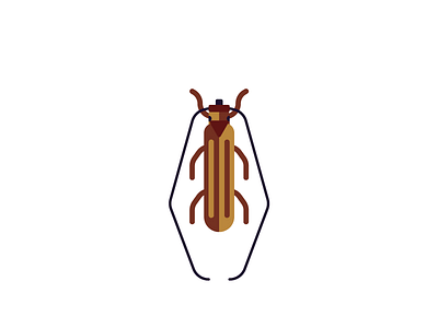 Insect beetle bug flat illustration insect insects minimal
