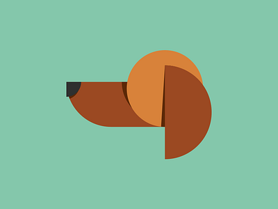 Dachshund animal basic shapes dachshund dog head illustration kids minimal nose shapes
