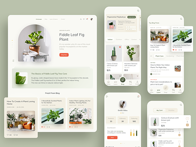 Plant Shop & Blog - Concept Design