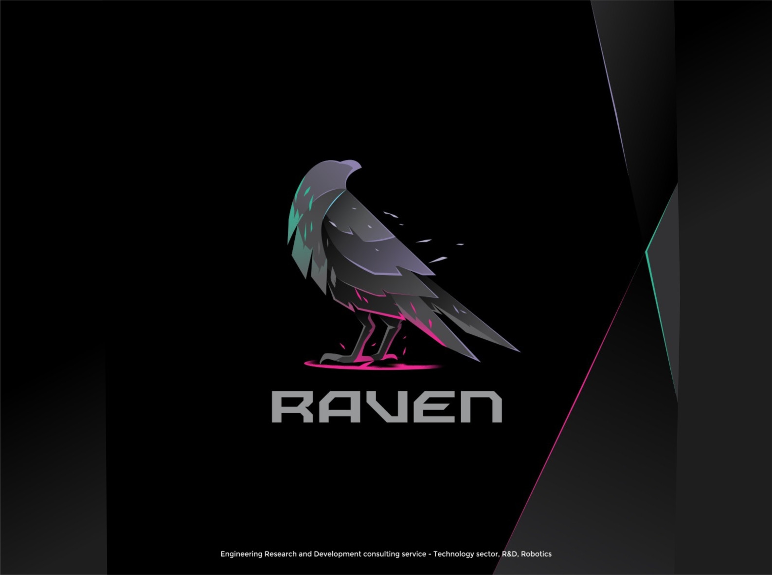 raven logo design by Aksa Inov on Dribbble