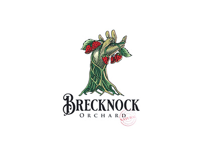 Brecknock orchard logo 3d animation branding character design farm farming graphic design green icon illustration illustrator leaf leaves logo motion graphics orchard ui ux vector