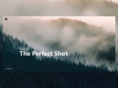 The Perfect Shot