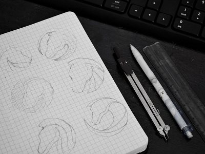 Horse logo design exploration