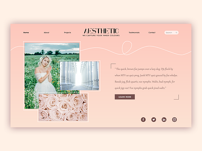 Aesthetic - Photography Web UI Design