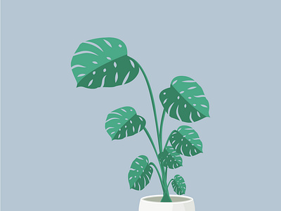 Houseplant