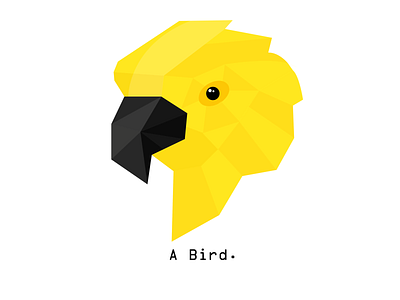 Yellow Bird.