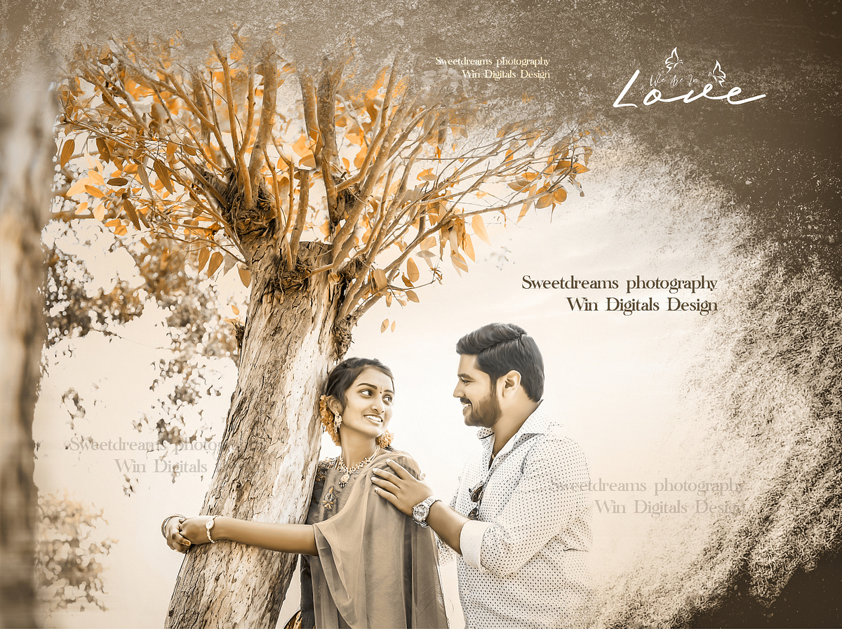 Tadasthu Telugu logo Design by win digitals on Dribbble