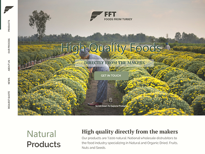 Export Food - Food From Turkey branding graphic design landing page logo main page ui ux visual design website design