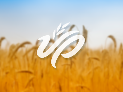 vp agriculture brand handdrawn identity logo wheat