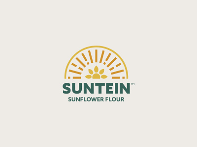 Suntein v3 allergen free artisanal flour flour alternative natural organic sunflower