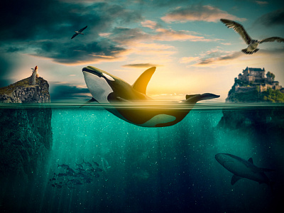 Free willy returns advertising clouds design photo manipulation photoshop