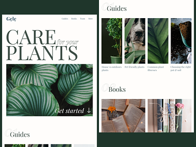 Plant care web concept blog care flower green homepage minimal pet plant pot typography web website