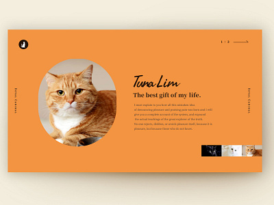 Daily UI #39 Testimonials cat daily ui layoutdesign minimal testimonials webdesign website