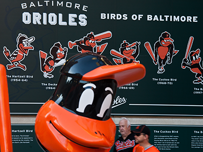 Camden Yards - Birds Of Baltimore baltimore history logo mascot orange orioles