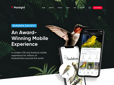 Postlight - Audubon Case Study audubon birds case study mobile mobile app nature portfolio ui ui design web design