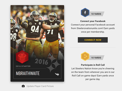Pittsburgh Steelers Rewards Program - Player Card dashboard football field loyalty nfl player card