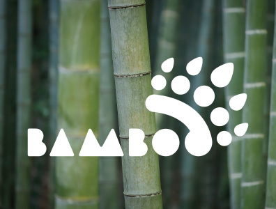 Concept: Panda Bamboo Logo