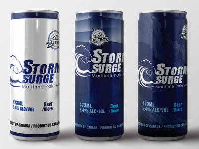 Storm Surge Mashup