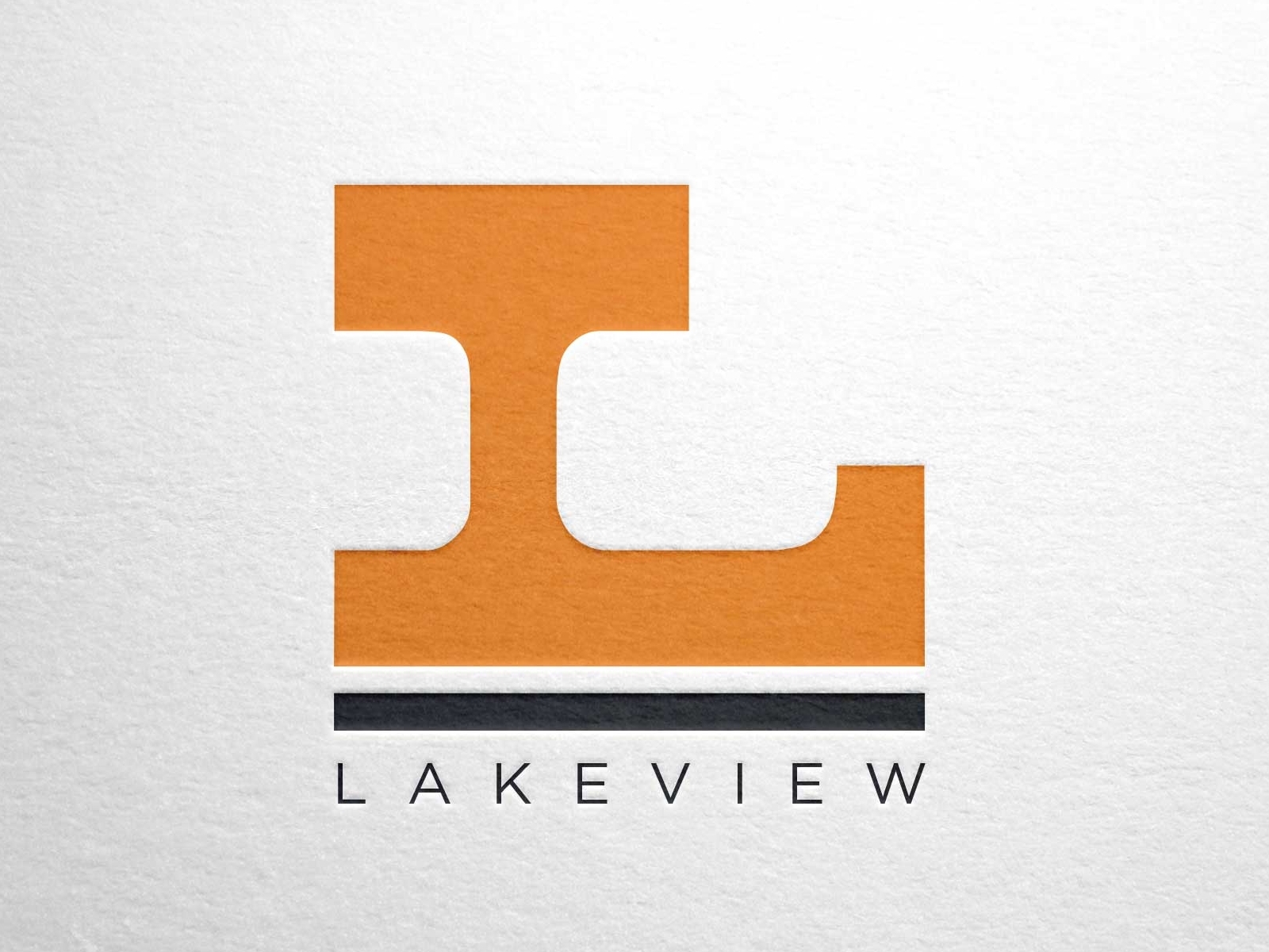 Branding Logo Design For Lakeview District Mock Up By Charles