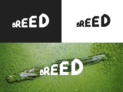 Breed branding character design flat icon identity illustration illustrator lettering logo minimal negative space typography