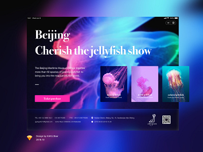 Jellyfish show，iPad Design exercises by gujingyi on Dribbble
