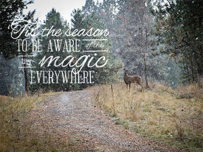 Winter Magic deer forest magic nature path photography quote road snow trees typography