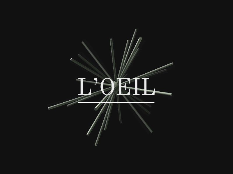 L’Oeil 3d eye illustration monochrome serif three.js