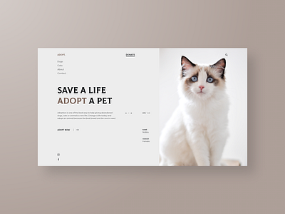 Adopt a cat adopt cat clean grid landing page minimal ui ux web