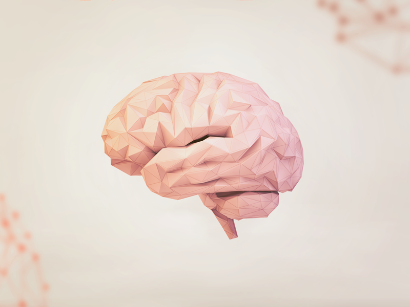 Low Poly Brain by Alex Deruette for Kickpush on Dribbble