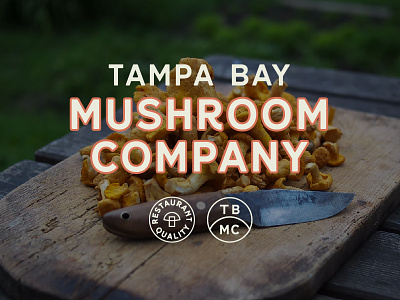 Tampa Bay Mushroom Co Branding brand branding logo mushroom tampabay