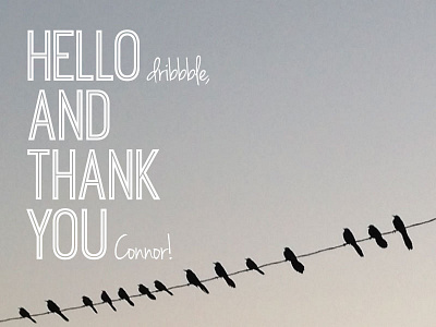 Hello and Thank You debut first shot for the birds hello thank you typography