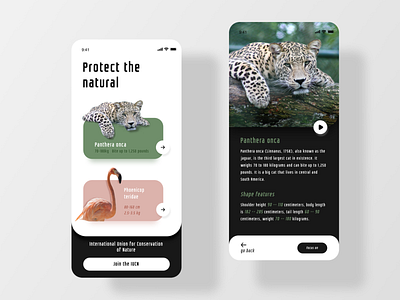 protect animal app design icon ui ux web 品牌 图标 应用 设计