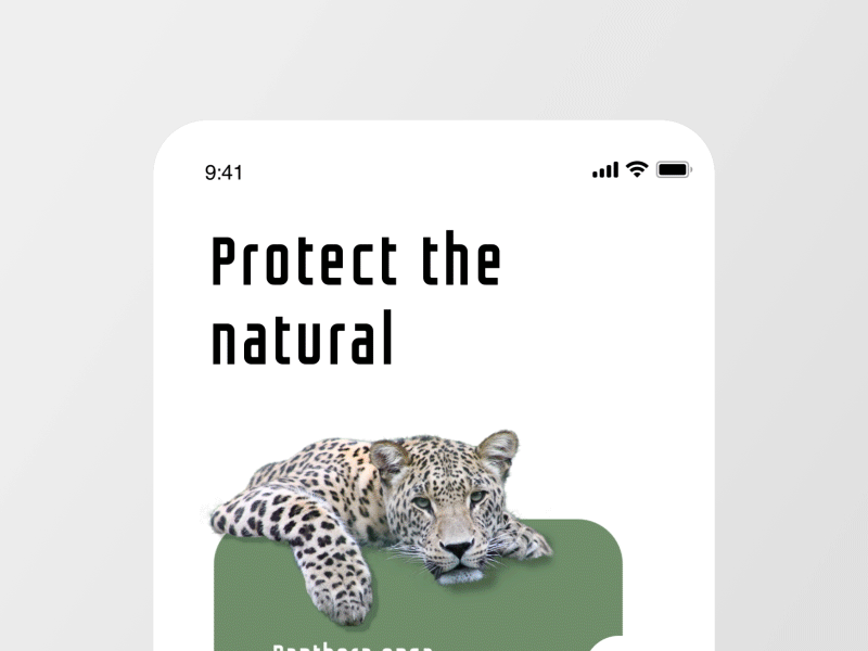 Protect animal  App Dynamic effect