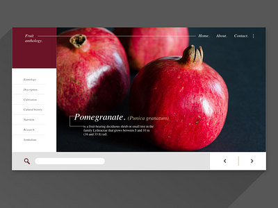 UI Exercise - Fruit Anthology Pomegranate - web adobexd design flat ui ux web web design