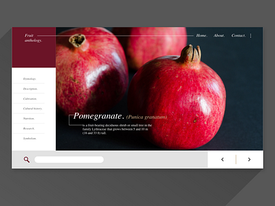UI Exercise - Fruit Anthology Pomegranate - web
