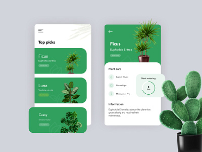 Plant App - Exploration adobe xd app design concept design dribbble figma figmadesign interaction design plant illustration ui ui design uidesign uxdesign