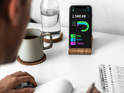 Paymeter FinTech App concept financial interface mobile ui