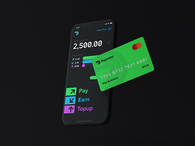 Paymeter FinTech App Concept concept credit card design fintech interface