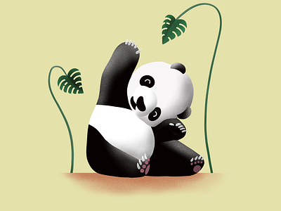 Panda drawing galshir illustration procreate