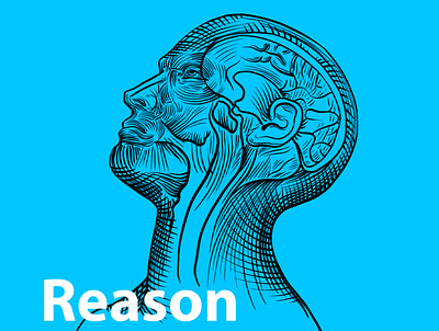 Reason & Sense ai ai logo human mind illustration ilyas reason sense test uighur uyghur